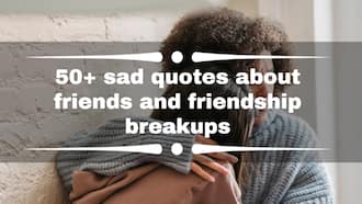 essay about broken friendship