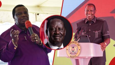 Francis Atwoli Claims He Influenced Ruto Decision to Support Raila's AU Bid: "He Listened to Me"
