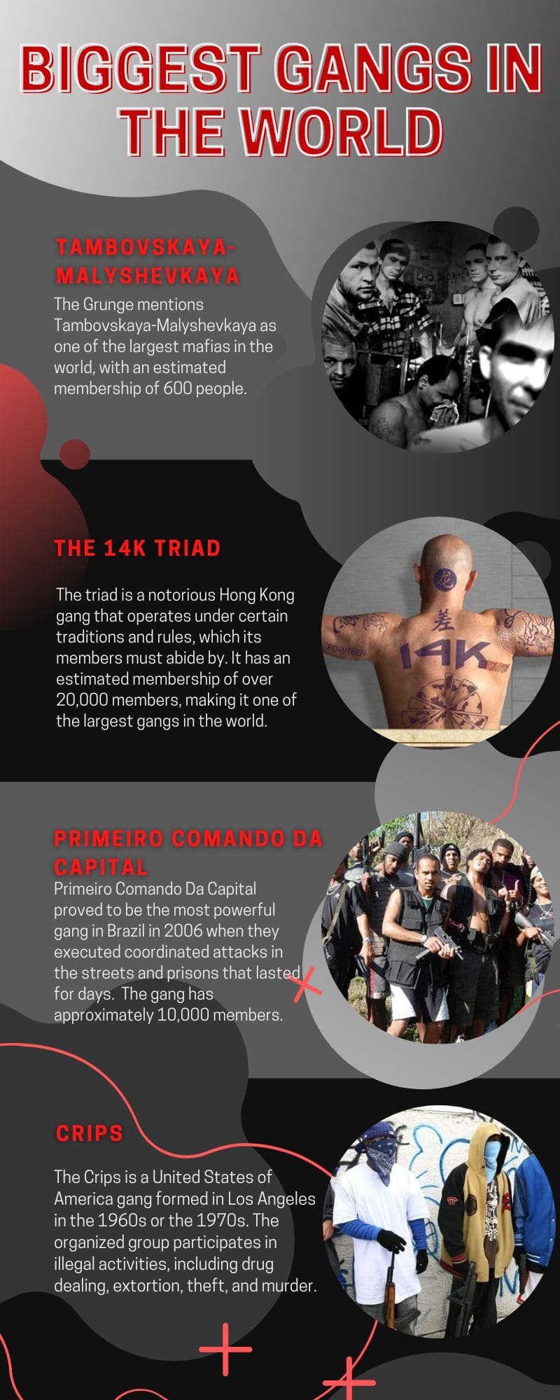 11 Facts About Gangs