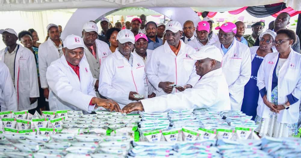 President William Ruto ordered New KCC to buy raw milk at KSh 50 per litre.