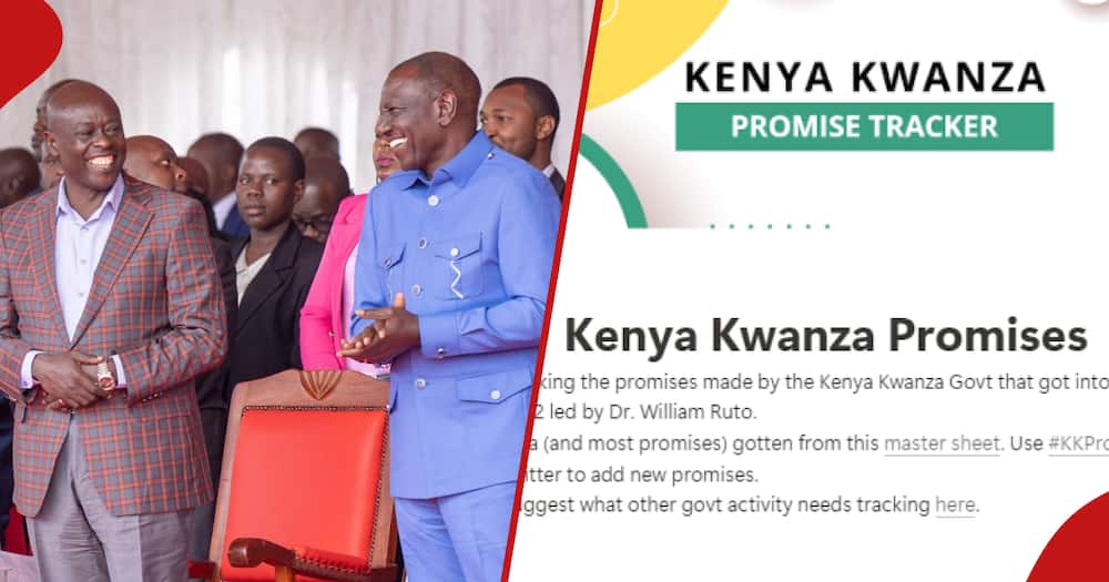 Kenyans create website to track William Ruto's government promises.