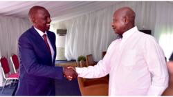 Rais Museveni Aahidi Kufanya Kazi na Rais Mteule William Ruto Huku Uhuru Akistaafu
