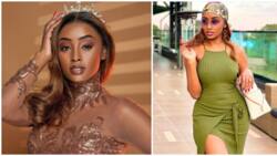 Michelle Ntalami Discloses She's Moved on From Painful Relationship, Doesn't Talk to Ex-Lover Makena Njeri