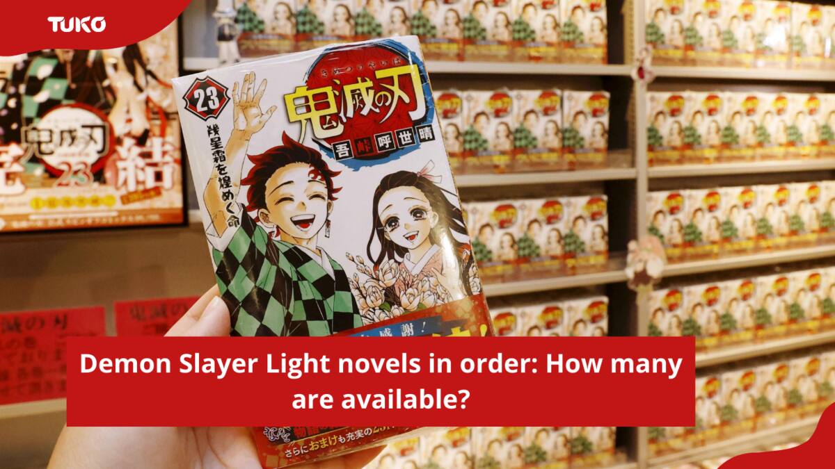 Demon Slayer Light novels in order: How many are available? - Tuko.co.ke