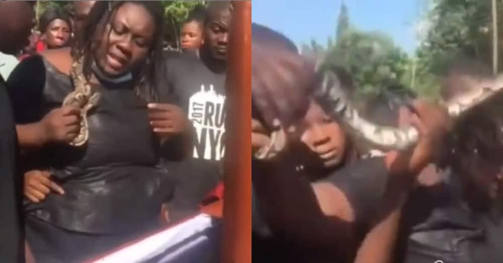 Woman seen putting snake in late husband's casket; Ghanaians say it will deal with his killers