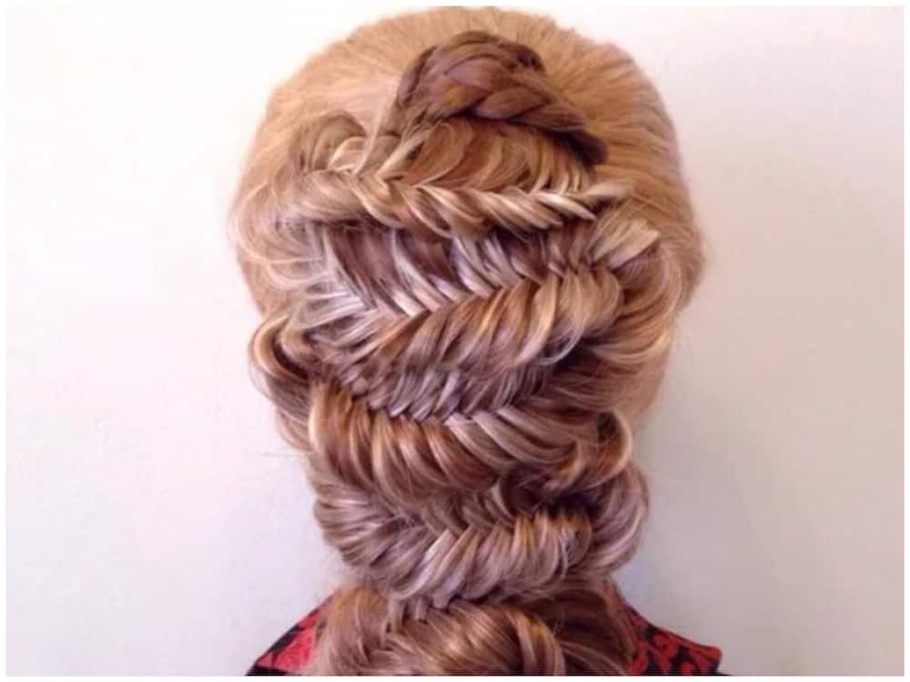 Fishtail hairstyles for braids