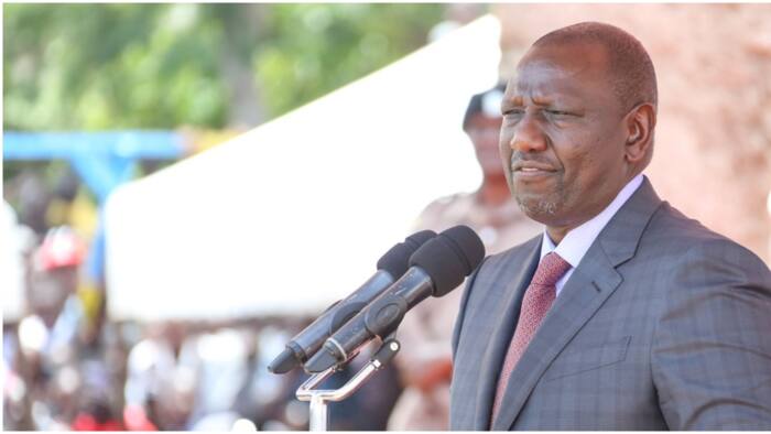 Mp Peter Kaluma Confirms Speaking To Ruto After Missing President's 