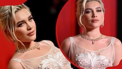 Has Florence Pugh's nose really changed? The story behind her facial transformation