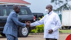 William Ruto-Museveni Oil Import Deal: Expert Shares Possible Implications as Kenya Woos Uganda Back