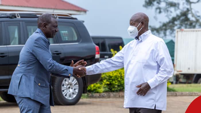 William Ruto-Museveni Oil Import Deal: Expert Shares Possible Implications as Kenya Woos Uganda Back