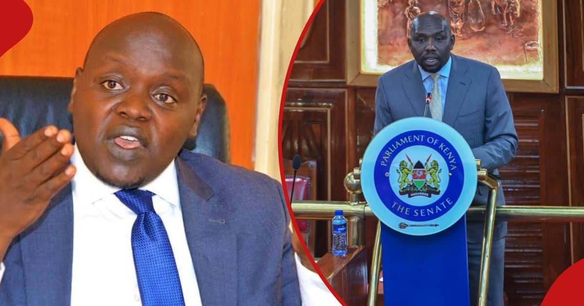 Samson Cherargei Kicked Out Of Senate For Interrupting CS Murkomen's ...