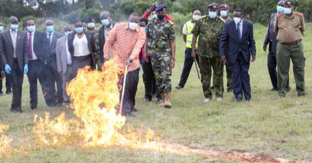 Uhuru Kenyatta Torches 5,144 Illicit Small Arms, Light Weapons