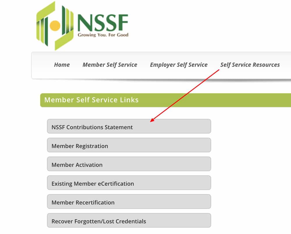 check NSSF contributions online