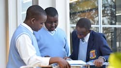 Strathmore Secondary School fees structure, KCSE performance, contacts