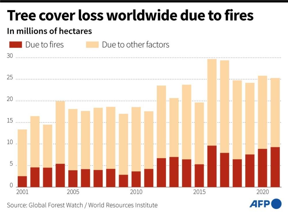 Tree cover loss due to fires