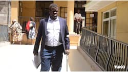 Okiya Omtatah Wants EPRA Boss Jailed for 6 Months for Hiking Fuel Prices, Flouting Court Order