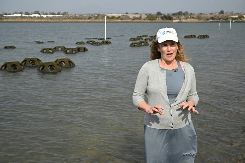 Eileen Maher, director of environmental conservation at the Port of San Diego, California, calls oysters 'one of the tools in our toolbox' to combat sea-level rise