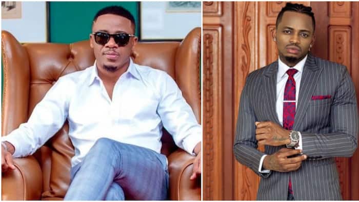 Kenyan Man Sparks Heated Debate After Claiming Ali Kiba Is Better than Diamond: "Doesn't Chase Clout"