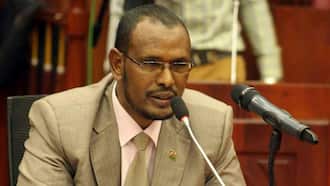 IEBC Commissioner Abdi Guliye Says Kenyan Politicians Have Low IQ: "Most Have Second Class Lower"