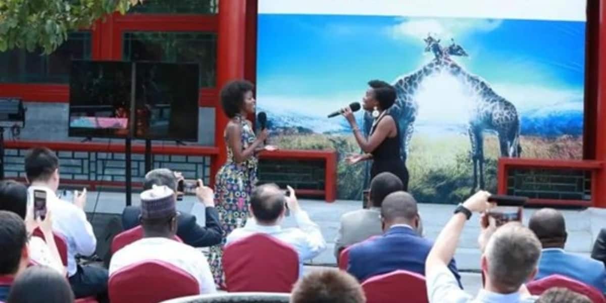 Mawasiliano ya kiutamaduni kati ya China na Afrika kupitia filamu yaleta tija ya ajira kwa vijana ▷ Kenya News