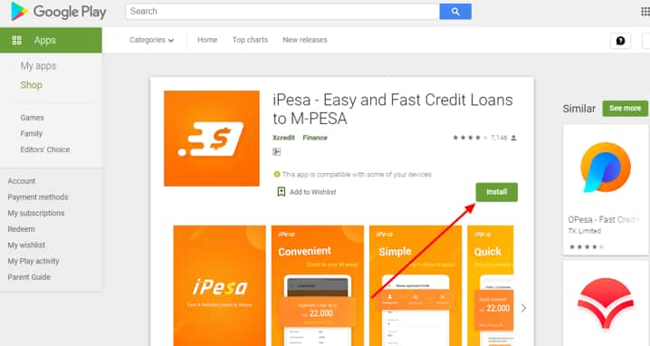 iPesa loan