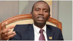 ICT CS Joe Mucheru Turns down Calls by Kenya Kwanza to Resign: "We're in to Protect Raila's Votes"