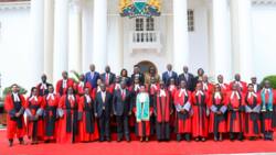 William Ruto Appoints 20 New High Court Judges Proposed by JSC
