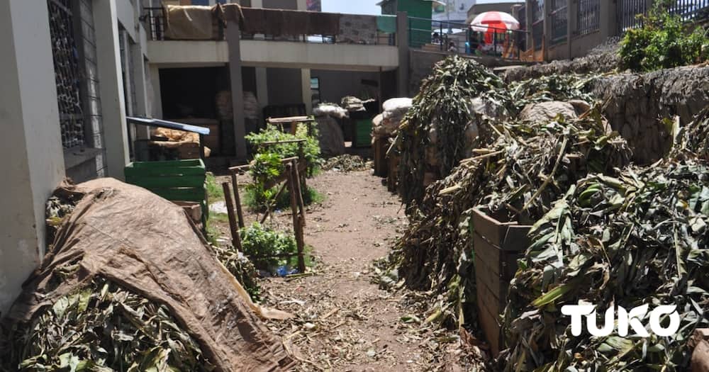 Kenyan Firm Empowering Locals to Recycle Garbage.