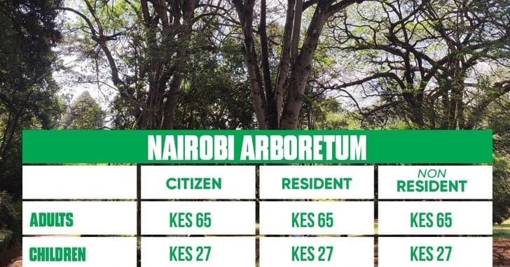 Nairobi Arboretum