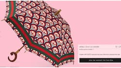 Gucci, Adidas Cause Uproar after Launching KSh 150k Umbrella that's Not Waterproof