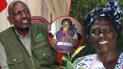National Tree Planting Day Should Be Renamed Wangari Maathai Day, City Politician Faith Lukosi