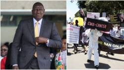 High Court Suspends William Ruto's Gov't Directive that Lifted Ban on GMO