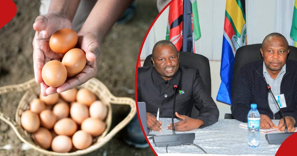 Kenya and Tanzania resolve dispute over poultry exports.