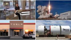 Elon Musk's Empire: Space X, Twitter and Other Multibillion Businesses Owned by World's Richest Man