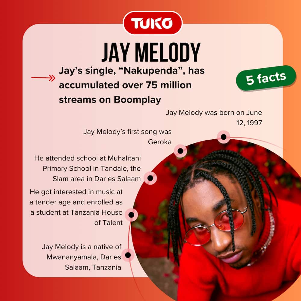 Facts about Jay Melody