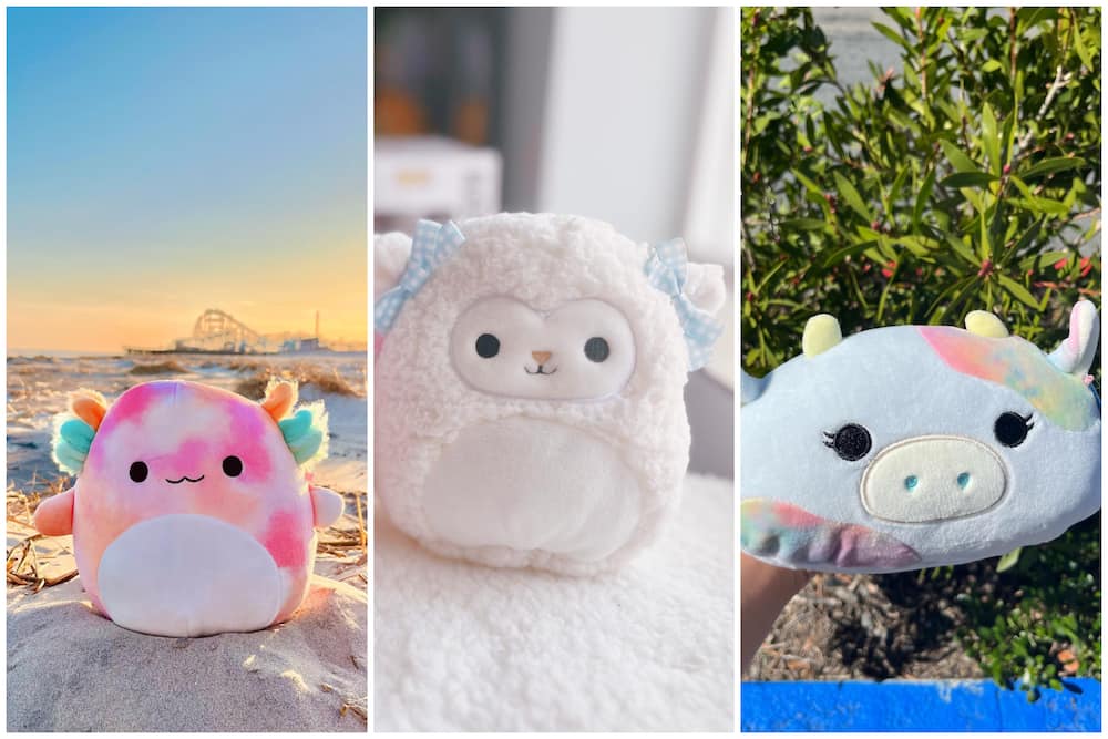 Squishmallows are adorable, but their online fandom has a dark side