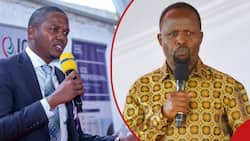 Trans Nzoia: Allan Chesang Slams Governor Natembeya for Sabotaging His Oversight Role