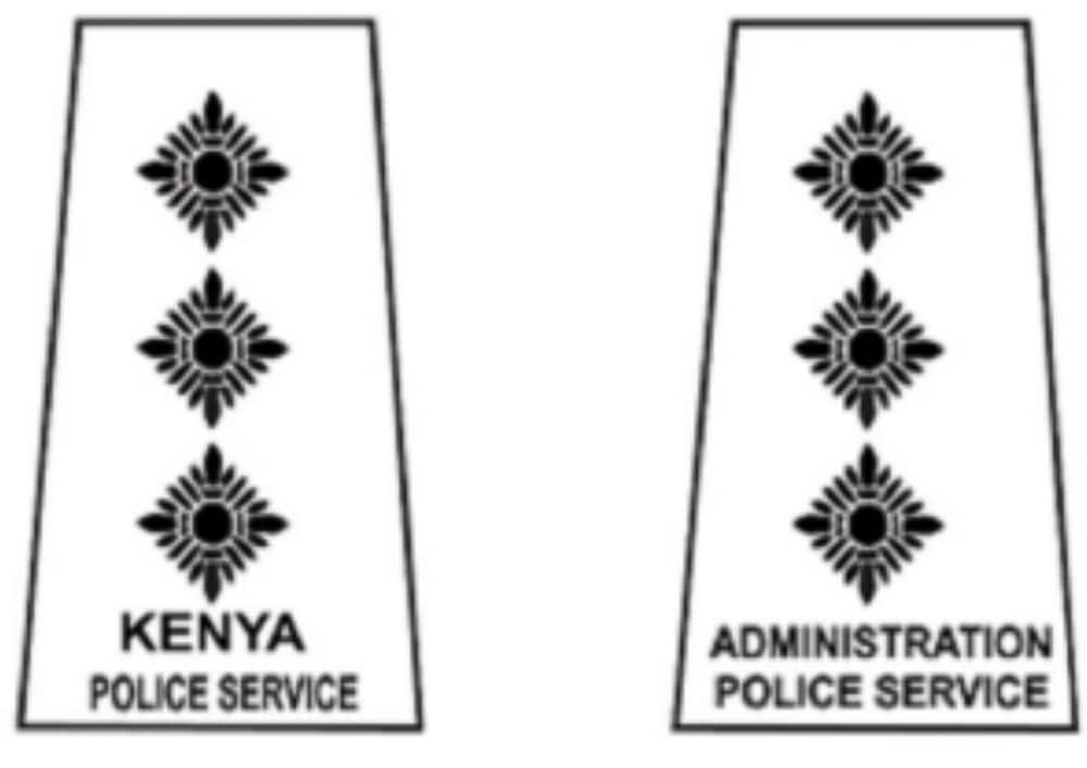 police ranks and badges