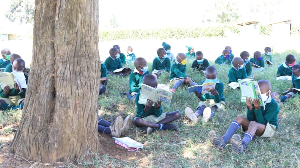 Students have lessons under a tree as schools reopen. Photo: Daily Nation.