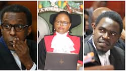 Martha Koome Reprimands Nelson Havi, Ahmednasir for Using Social Media to Intimidate Judges