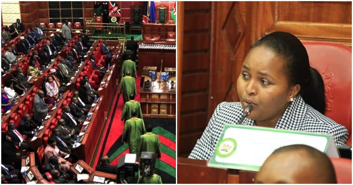 Naisula Lesuuda Calls Out Mps For Adopting Vetting Report Without