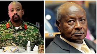 Yoweri Museveni Apologises to Kenya for Son Muhoozi's Undiplomatic Tweets