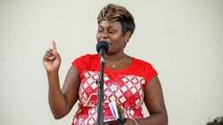 Priscilla Nyokabi: Running Mate Position Requires Certain Level of Maturity, Kalonzo Is Unsuitable