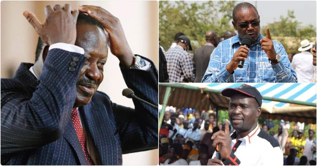 Raila To Campaign Across Nyanza Backyard From Monday, To Quell Sibling ...