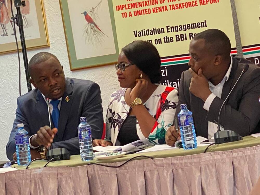 Youth for BBI team proposes 30% of Executive to be Youth