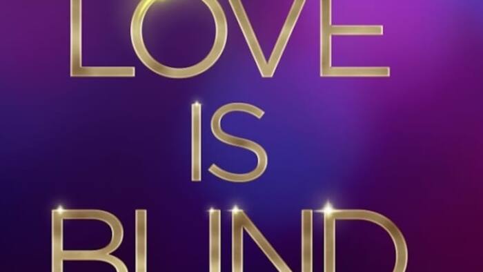 Do they get paid on Love is Blind? Here's what the contestants make