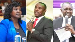 Oscar Sudi Slams Gladys Shollei For Attacking Cleophas Malala On National TV: "We Have Party Structures"