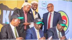 ANC, 9 other Political Parties that Have Inked Deal with UDA to Form Kenya Kwanza Coalition