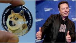 Dogecoin Prices Soar after Elon Musk Announces Plan to Help Develop the Meme-Inspired Cryptocurrency