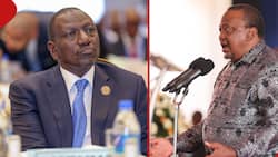 Uhuru Kenyatta Takes Dig at William Ruto's Leadership Style: "Mnapeleka Gari Kwa Mtaro"